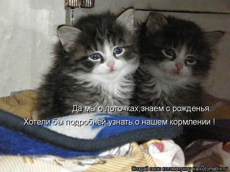 Да мы о лоточках,знаем с рожденья. Хотели бы подробней узнать,о нашем кормлении !... Котоматрица: Да мы о лоточках,знаем с рожденья. Хотели бы подробней узнать,о нашем кормлении !