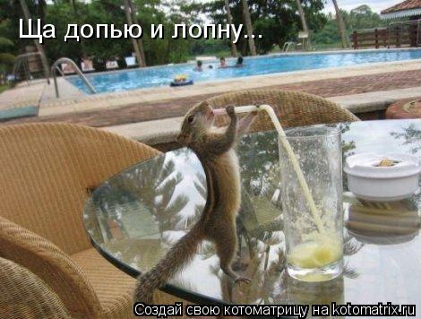 Ща допью и лопну...... Котоматрица: Ща допью и лопну...