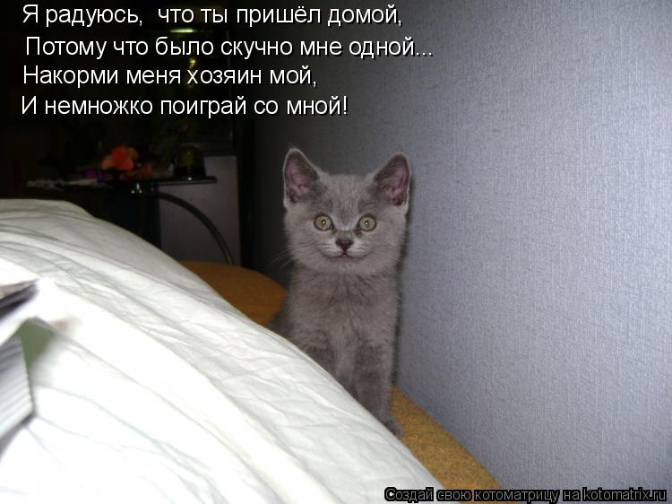 Потому что было скучно мне одной... Я радуюсь, что ты пришёл домой, Накорми меня хозяин мой, И немно... Котоматрица: Потому что было скучно мне одной... Я радуюсь, что ты пришёл домой, Накорми меня хозяин мой, И немножко поиграй со мной!