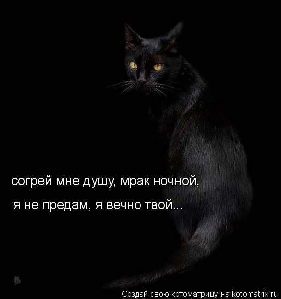 согрей мне душу, мрак ночной, я не предам, я вечно твой...... Котоматрица: согрей мне душу, мрак ночной, я не предам, я вечно твой...
