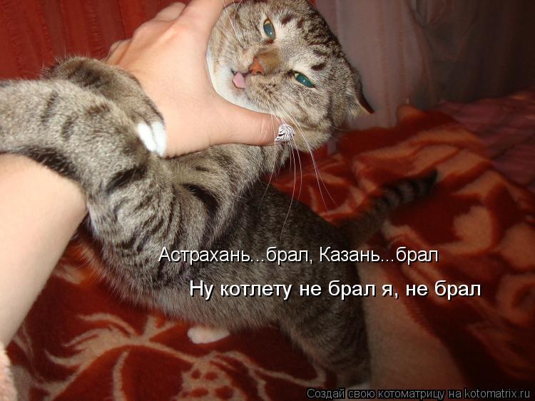 Астрахань...брал, Казань...брал Ну котлету не брал я, не брал... Котоматрица: Астрахань...брал, Казань...брал Ну котлету не брал я, не брал