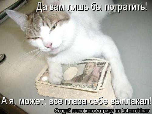 Котоматрица: Да вам лишь бы потратить! А я, может, все глаза себе выплакал!