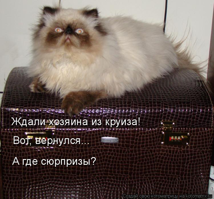 Ждали хозяина из круиза! Вот, вернулся... А где сюрпризы?... Котоматрица: Ждали хозяина из круиза! Вот, вернулся... А где сюрпризы?