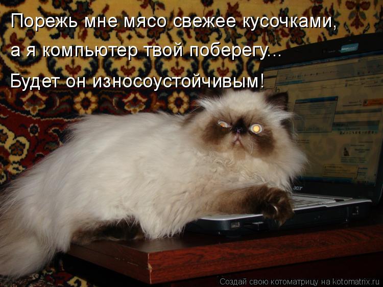 Порежь мне мясо свежее кусочками, а я компьютер твой поберегу... Будет он износоустойчивым!... Котоматрица: Порежь мне мясо свежее кусочками, а я компьютер твой поберегу... Будет он износоустойчивым!