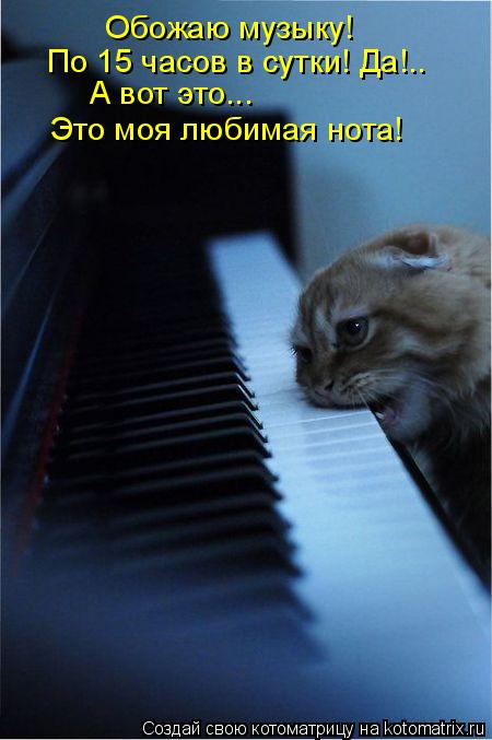 Обожаю музыку! Это моя любимая нота! А вот это... По 15 часов в сутки! Да!..... Котоматрица: Обожаю музыку! Это моя любимая нота! А вот это... По 15 часов в сутки! Да!..