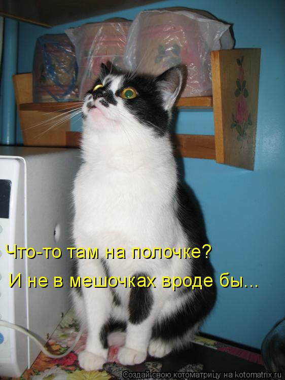 Что-то там на полочке? И не в мешочках вроде бы...... Котоматрица: Что-то там на полочке? И не в мешочках вроде бы...