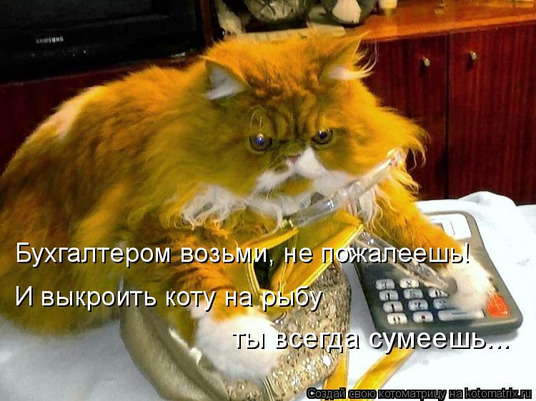 Бухгалтером возьми, не пожалеешь! И выкроить коту на рыбу ты всегда сумеешь...... Котоматрица: Бухгалтером возьми, не пожалеешь! И выкроить коту на рыбу ты всегда сумеешь...