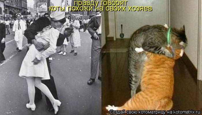 правду говорят коты похожи на своих хозяев... Котоматрица: правду говорят коты похожи на своих хозяев