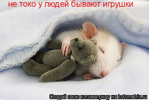 не токо у людей бывают игрушки... Котоматрица: не токо у людей бывают игрушки
