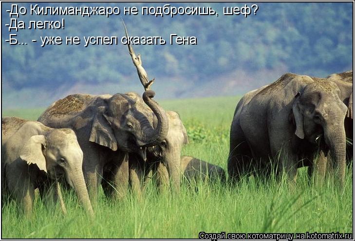 -До Килиманджаро не подбросишь, шеф? -Да легко! -Б... - уже не успел сказать Гена... Котоматрица: -До Килиманджаро не подбросишь, шеф? -Да легко! -Б... - уже не успел сказать Гена