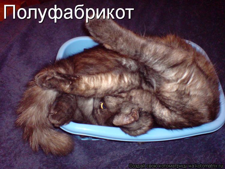 Полуфабрикот... Котоматрица: Полуфабрикот
