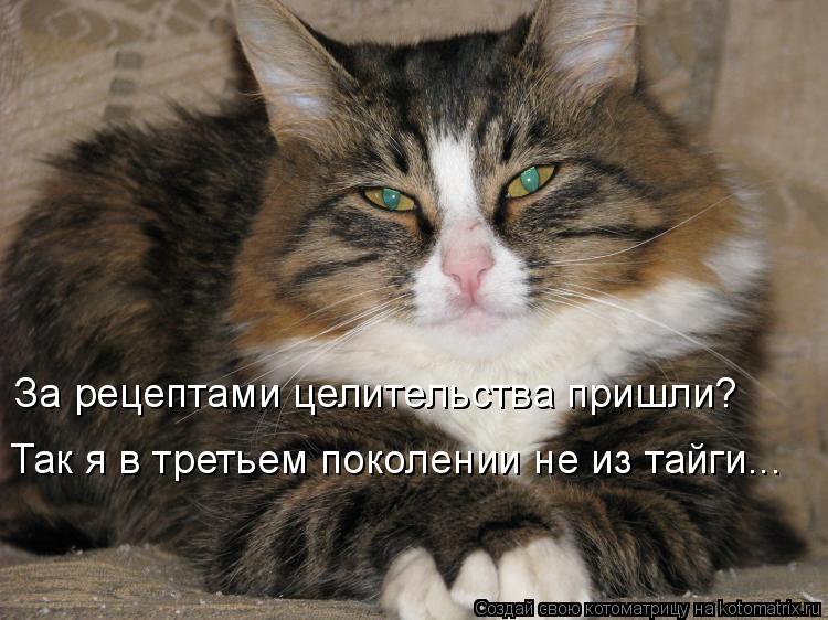 За рецептами целительства пришли? Так я в третьем поколении не из тайги...... Котоматрица: За рецептами целительства пришли? Так я в третьем поколении не из тайги...