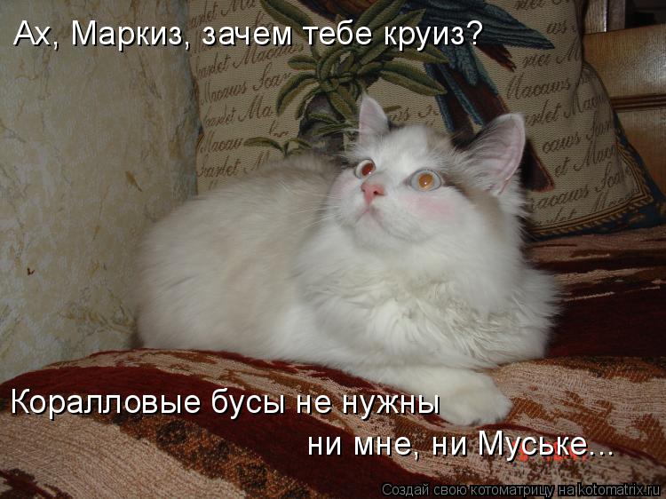 Ах, Маркиз, зачем тебе круиз? Коралловые бусы не нужны ни мне, ни Муське...... Котоматрица: Ах, Маркиз, зачем тебе круиз? Коралловые бусы не нужны ни мне, ни Муське...