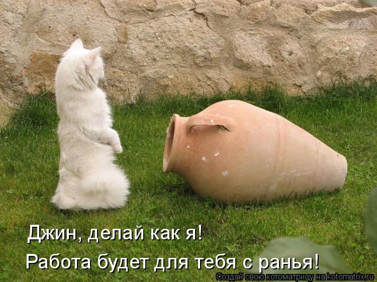 Джин, делай как я! Работа будет для тебя с ранья!... Котоматрица: Джин, делай как я! Работа будет для тебя с ранья!