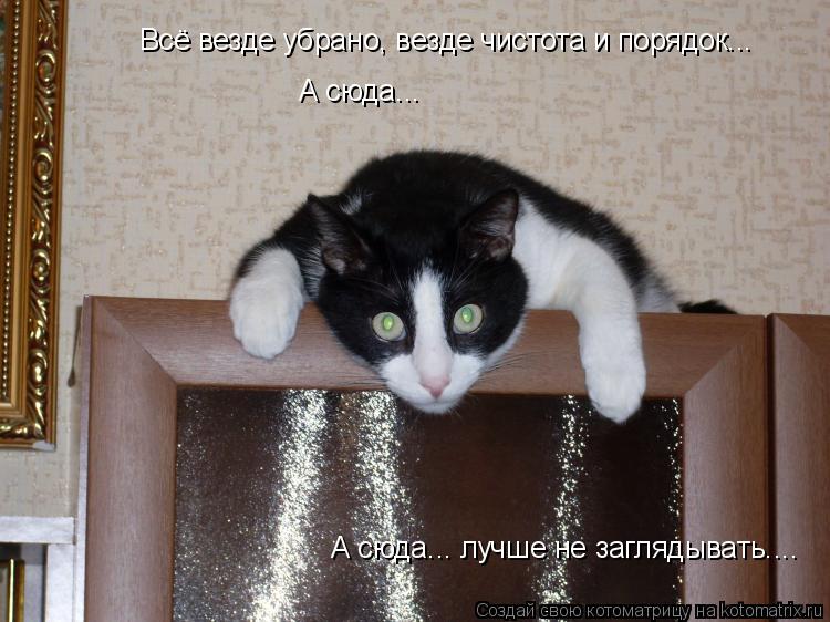Всё везде убрано, везде чистота и порядок... А сюда... А сюда... лучше не заглядывать....... Котоматрица: Всё везде убрано, везде чистота и порядок... А сюда... А сюда... лучше не заглядывать....