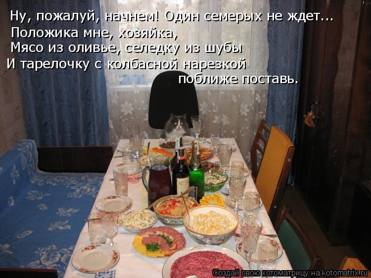 Котоматрица: Ну, пожалуй, начнем! Один семерых не ждет... Положика мне, хозяйка, Мясо из оливье, селедку из шубы И тарелочку с колбасной нарезкой  поближе п