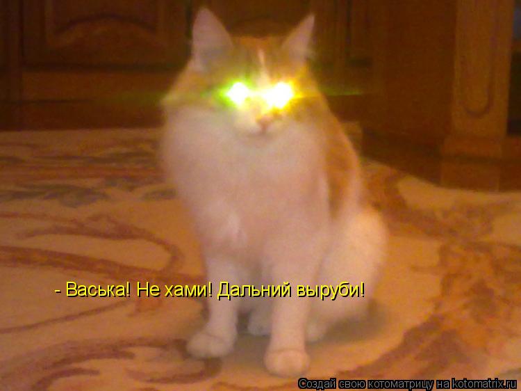 - Васька! Не хами! Дальний выруби!... Котоматрица: - Васька! Не хами! Дальний выруби!