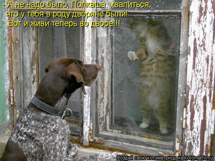 - А не надо было, Полкаша, хвалиться, что у тебя в роду дворяне были! Вот и живи теперь во дворе!!!... Котоматрица: - А не надо было, Полкаша, хвалиться, что у тебя в роду дворяне были! Вот и живи теперь во дворе!!!