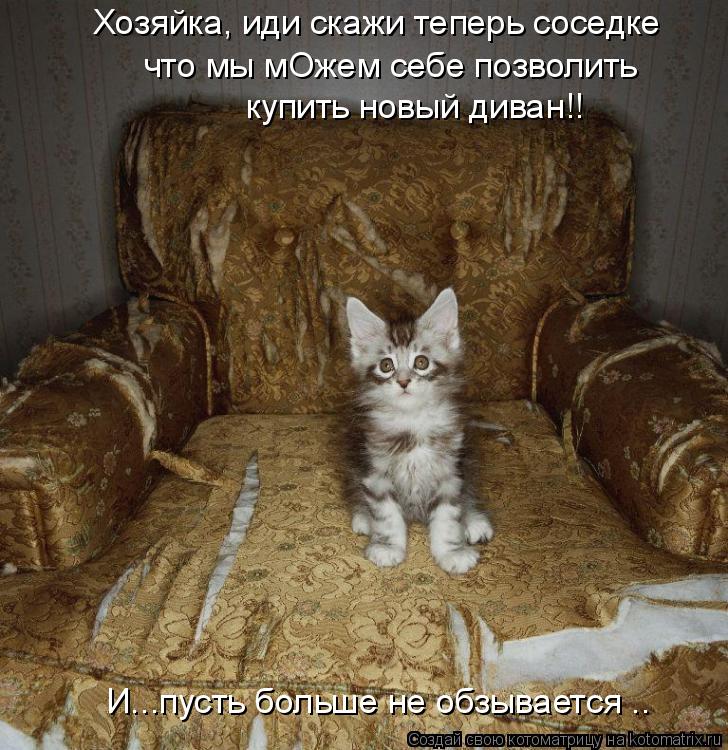 Хозяйка, иди скажи теперь соседке что мы мОжем себе позволить купить новый диван!! И...пусть больше ... Котоматрица: Хозяйка, иди скажи теперь соседке что мы мОжем себе позволить купить новый диван!! И...пусть больше не обзывается ..