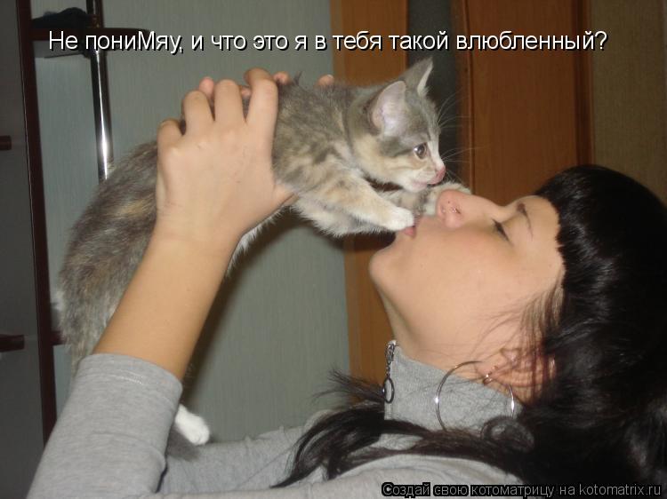 Не пониМяу, и что это я в тебя такой влюбленный?... Котоматрица: Не пониМяу, и что это я в тебя такой влюбленный?