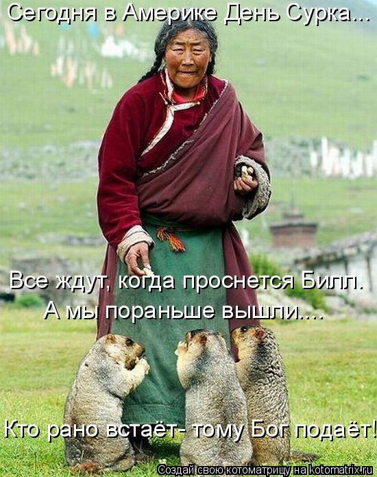 Сегодня в Америке День Сурка... Все ждут, когда проснется Билл. А мы пораньше вышли.... Кто рано вста... Котоматрица: Сегодня в Америке День Сурка... Все ждут, когда проснется Билл. А мы пораньше вышли.... Кто рано встаёт- тому Бог подаёт!