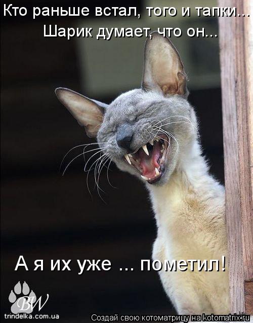 Кто раньше встал, того и тапки... Шарик думает, что он... А я их уже ... пометил!... Котоматрица: Кто раньше встал, того и тапки... Шарик думает, что он... А я их уже ... пометил!