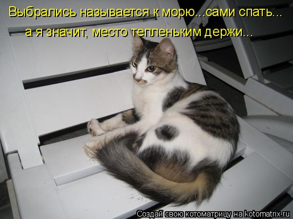Выбрались называется к морю...сами спать... а я значит, место тепленьким держи...... Котоматрица: Выбрались называется к морю...сами спать... а я значит, место тепленьким держи...