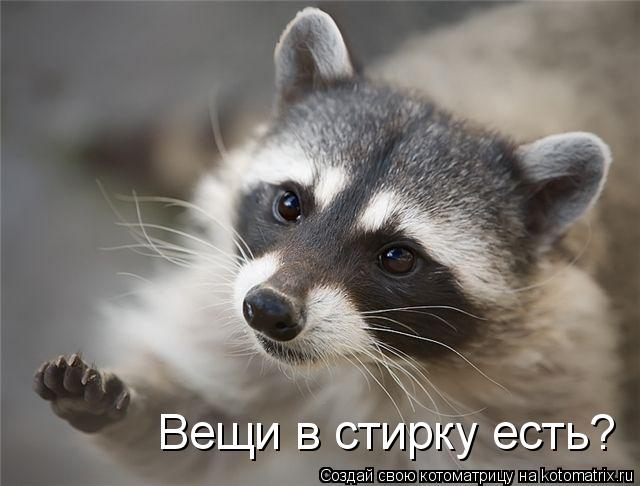 Вещи в стирку есть?... Котоматрица: Вещи в стирку есть?