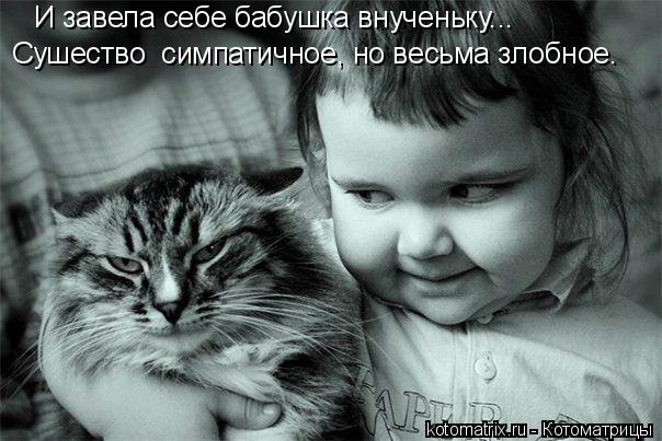 И завела себе бабушка внученьку... Сушество симпатичное, но весьма злобное.... Котоматрица: И завела себе бабушка внученьку... Сушество симпатичное, но весьма злобное.