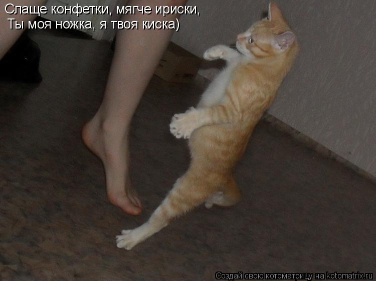 Слаще конфетки, мягче ириски, Ты моя ножка, я твоя киска)... Котоматрица: Слаще конфетки, мягче ириски, Ты моя ножка, я твоя киска)