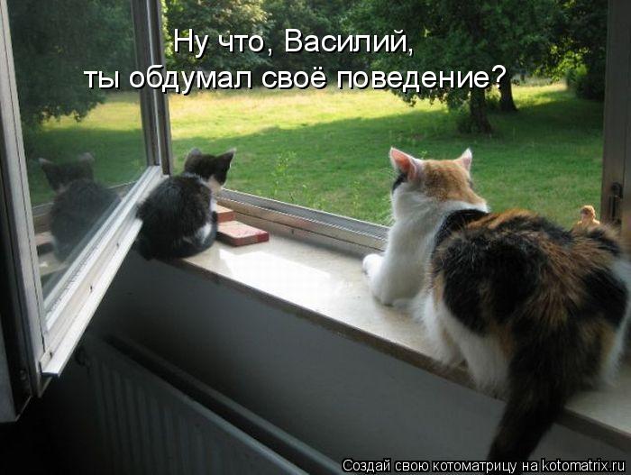 Ну что, Василий, ты обдумал своё поведение?... Котоматрица: Ну что, Василий, ты обдумал своё поведение?