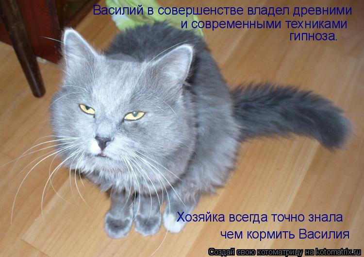 Василий в совершенстве владел древними и современными техниками чем кормить Василия Хозяйка всегда то... Котоматрица: Василий в совершенстве владел древними и современными техниками чем кормить Василия Хозяйка всегда точно знала гипноза.