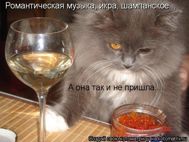 Романтическая музыка, икра, шампанское... А она так и не пришла...... Котоматрица: Романтическая музыка, икра, шампанское... А она так и не пришла...