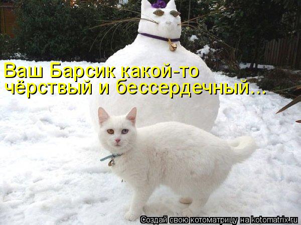 Ваш Барсик какой-то чёрствый и бессердечный...... Котоматрица: Ваш Барсик какой-то чёрствый и бессердечный...