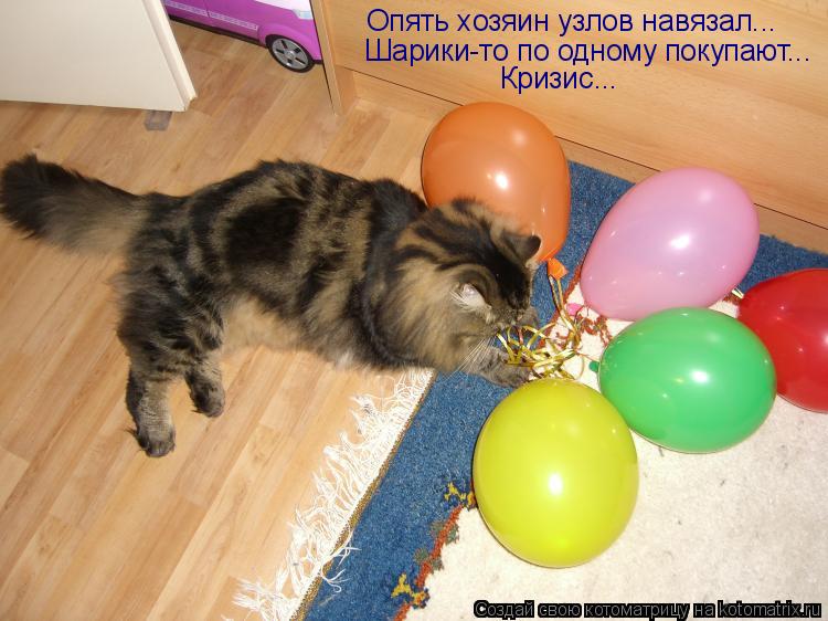 Опять хозяин узлов навязал... Шарики-то по одному покупают... Кризис...... Котоматрица: Опять хозяин узлов навязал... Шарики-то по одному покупают... Кризис...