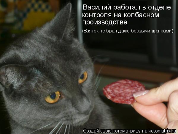 Василий работал в отделе контроля на колбасном (Взяток не брал даже борзыми щенками) производстве... Котоматрица: Василий работал в отделе контроля на колбасном (Взяток не брал даже борзыми щенками) производстве