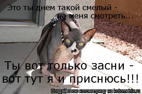 Это ты днем такой смелый - на меня смотреть... Ты вот только засни - вот тут я и приснюсь!!!... Котоматрица: Это ты днем такой смелый - на меня смотреть... Ты вот только засни - вот тут я и приснюсь!!!