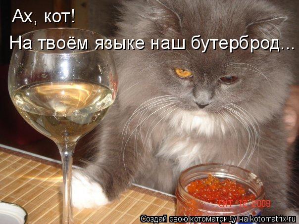 Ах, кот! На твоём языке наш бутерброд...... Котоматрица: Ах, кот! На твоём языке наш бутерброд...