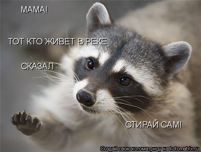 Котоматрица: МАМА! ТОТ КТО ЖИВЕТ В РЕКЕ  СКАЗАЛ : СТИРАЙ САМ!