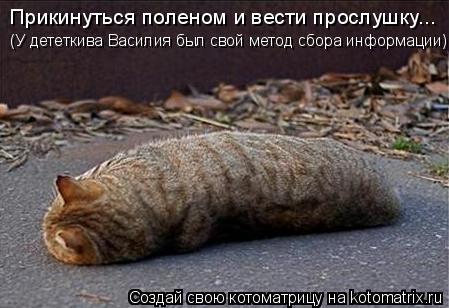 Прикинуться поленом и вести прослушку... (У дететкива Василия был свой метод сбора информации)... Котоматрица: Прикинуться поленом и вести прослушку... (У дететкива Василия был свой метод сбора информации)