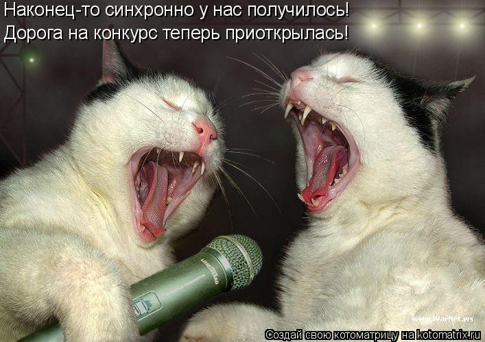 Наконец-то синхронно у нас получилось! Дорога на конкурс теперь приоткрылась!... Котоматрица: Наконец-то синхронно у нас получилось! Дорога на конкурс теперь приоткрылась!