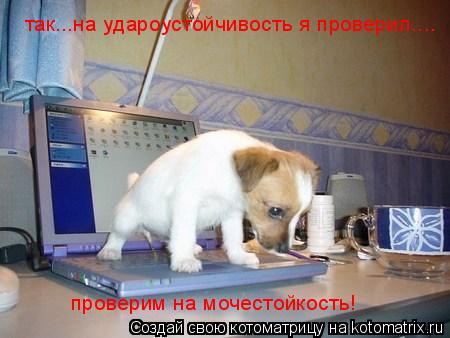 так...на удароустойчивость я проверил.... проверим на мочестойкость!... Котоматрица: так...на удароустойчивость я проверил.... проверим на мочестойкость!