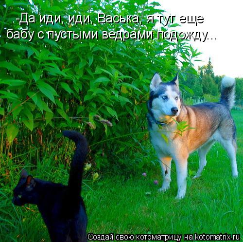 -Да иди, иди, Васька, я тут еще бабу с пустыми ведрами подожду...... Котоматрица: -Да иди, иди, Васька, я тут еще бабу с пустыми ведрами подожду...