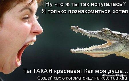 Ну что ж ты так испугалась? Я только познакомиться хотел. Ты ТАКАЯ красивая! Как моя душа...... Котоматрица: Ну что ж ты так испугалась? Я только познакомиться хотел. Ты ТАКАЯ красивая! Как моя душа...