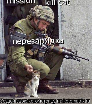 перезарЯдка mission kill cat... Котоматрица: перезарЯдка mission kill cat