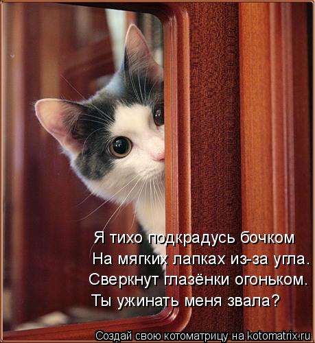 Я тихо подкрадусь бочком На мягких лапках из-за угла. Сверкнут глазёнки огоньком. Ты ужинать меня зва... Котоматрица: Я тихо подкрадусь бочком На мягких лапках из-за угла. Сверкнут глазёнки огоньком. Ты ужинать меня звала?