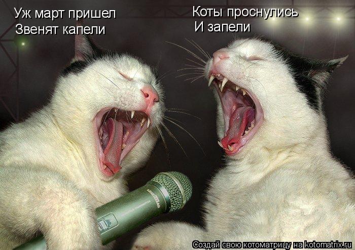 Уж март пришел Звенят капели Коты проснулись И запели... Котоматрица: Уж март пришел Звенят капели Коты проснулись И запели