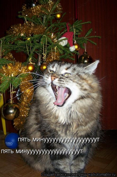 пять минуууууууууууууууууут пять минуууууууууууууууууут... Котоматрица: пять минуууууууууууууууууут пять минуууууууууууууууууут