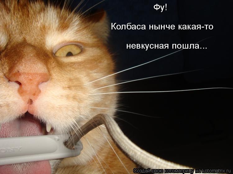 Фу! Колбаса нынче какая-то невкусная пошла...... Котоматрица: Фу! Колбаса нынче какая-то невкусная пошла...