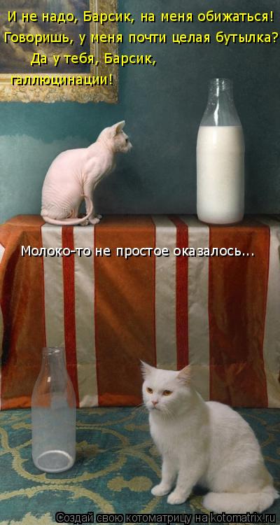 И не надо, Барсик, на меня обижаться! Говоришь, у меня почти целая бутылка? Да у тебя, Барсик, галлю... Котоматрица: И не надо, Барсик, на меня обижаться! Говоришь, у меня почти целая бутылка? Да у тебя, Барсик, галлюцинации! Молоко-то не простое оказалось...